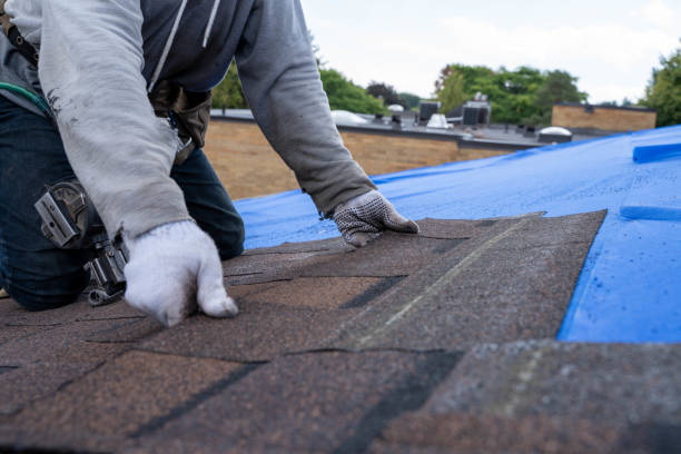 Best Residential Roofing Contractor  in Bradner, OH